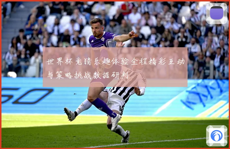 世界杯竞猜乐趣体验全程精彩互动与策略挑战数据研判