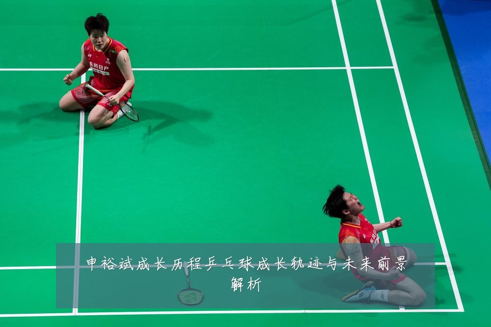 申裕斌成长历程乒乓球成长轨迹与未来前景解析