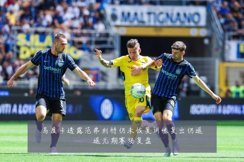 乌度卡透露范弗利特仍未恢复训练复出仍遥遥无期赛场复盘